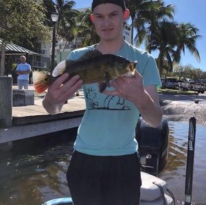 Meet your Posher, Taron gered